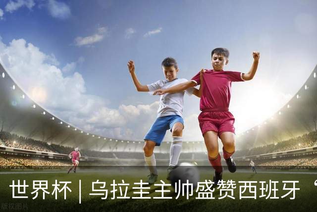 世界杯 | 乌拉圭主帅盛赞西班牙“精致足球”