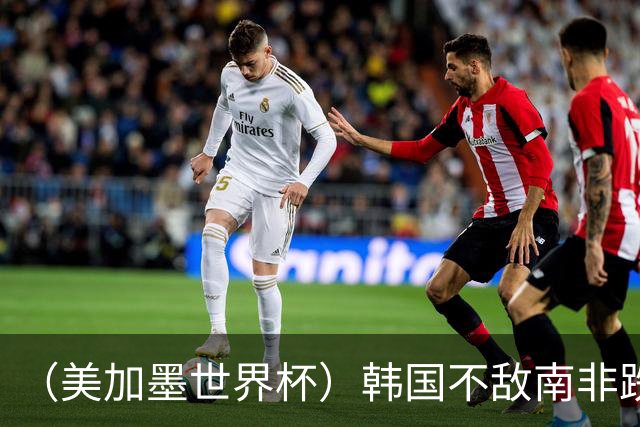 （美加墨世界杯）韩国不敌南非跌至小组第三 出线前景待定