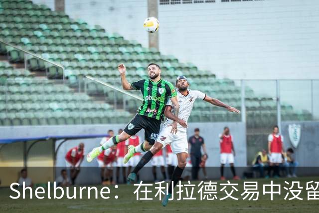 Shelburne：在利拉德交易中没留住霍勒迪是字母哥离开雄鹿的原因